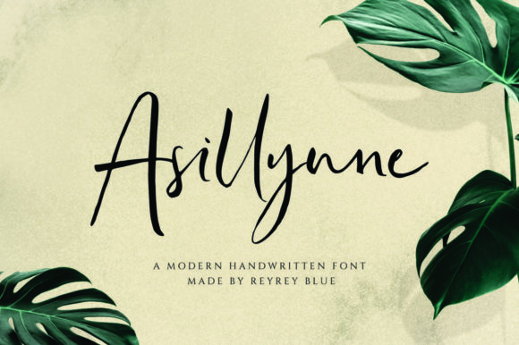 Asillynne Font: A Playful Script for Modern Web Design