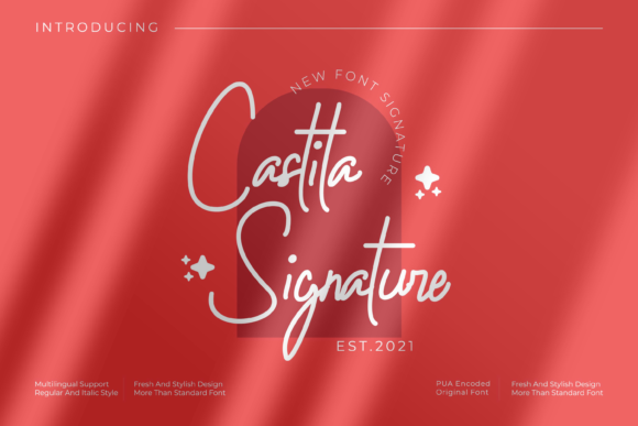 Castila Signature: A Handwritten Font for Creative Craft Projects